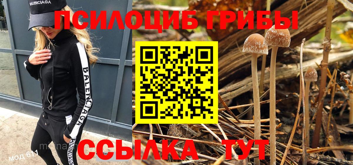 Псилоцибиновые грибы прущие грибы Зеленодольск