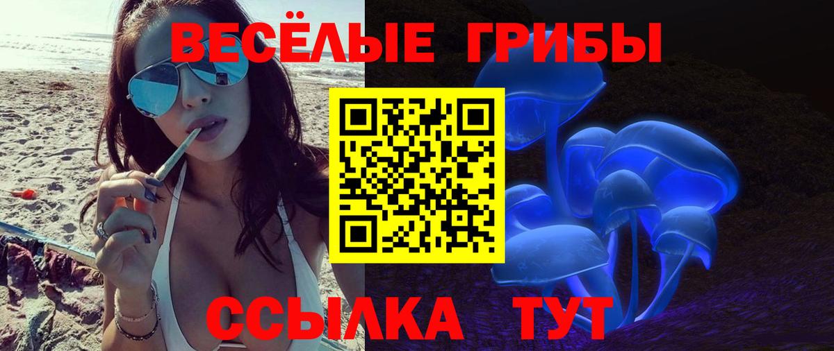 Зеленодольск  Псилоцибиновые грибы Magic Shrooms  Вход с VPN  Псилоцибиновые грибы прущие грибы 
