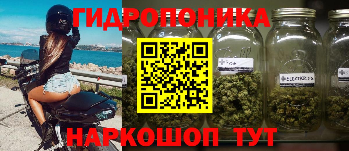 Марихуана семена  Конопля тримм  Зеленодольск  Вход с VPN  Конопля White Widow 